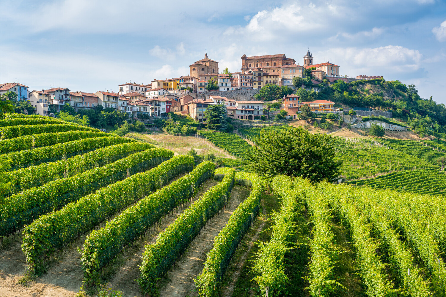 Best Town to Stay in Piedmont - Best Town to Stay in Piedmont Italy During Your Trip - 2025 - 9