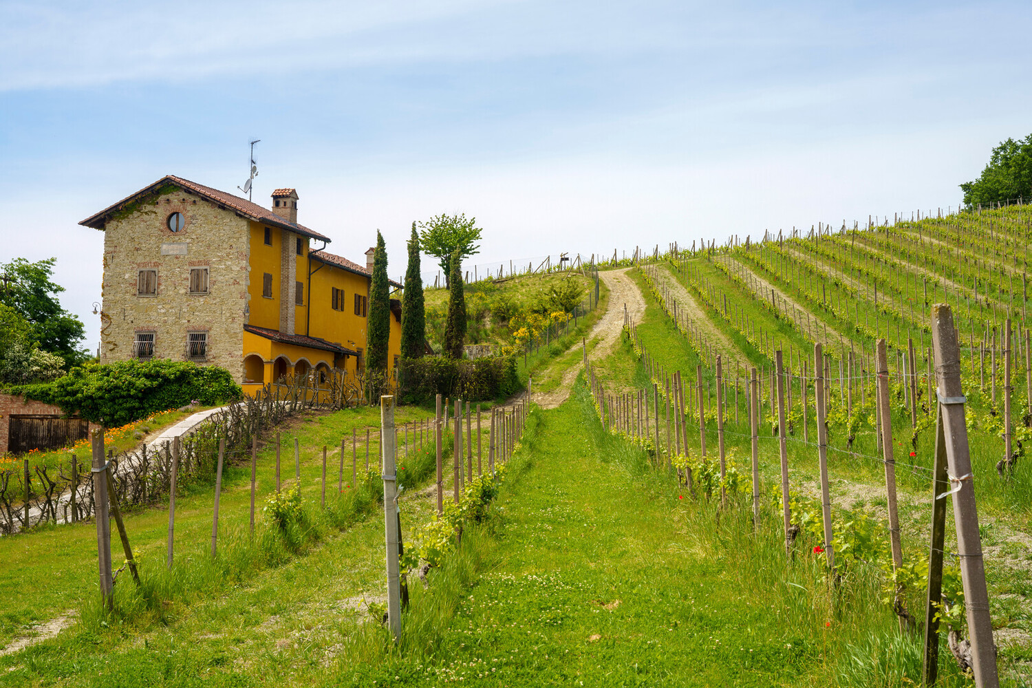 Best Town to Stay in Piedmont - Best Town to Stay in Piedmont Italy During Your Trip - 2025 - 23