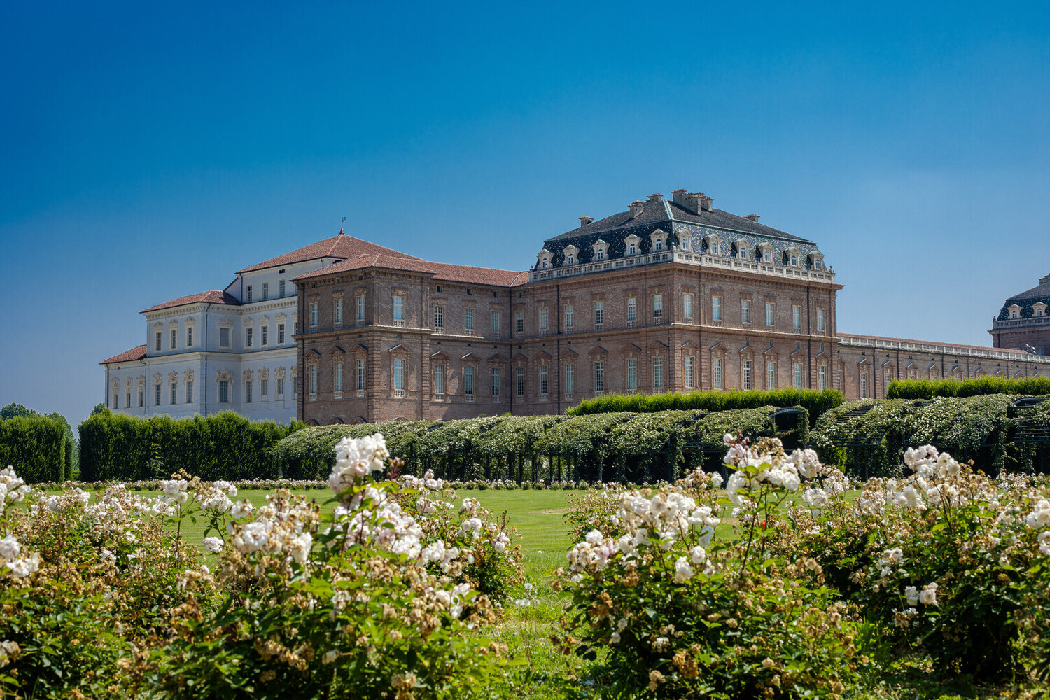 Best Things to Do in Turin - Best Things to Do in Turin: Itinerary to Explore Italian Culture - 2025 - 29