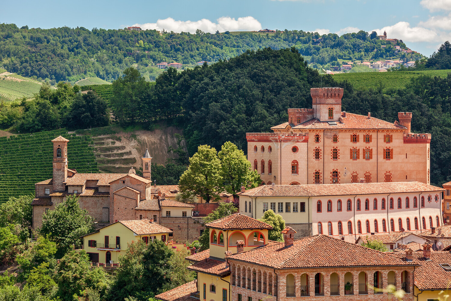 Day Trips from Turin - Day Trips from Turin: From Turin to the Vineyards via the Alps - 2025 - 7