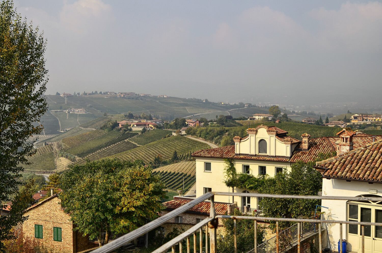 Visit Neive - Visit Neive Italy: Discover Hidden Wine Gem & Treasures - 2025 - 9