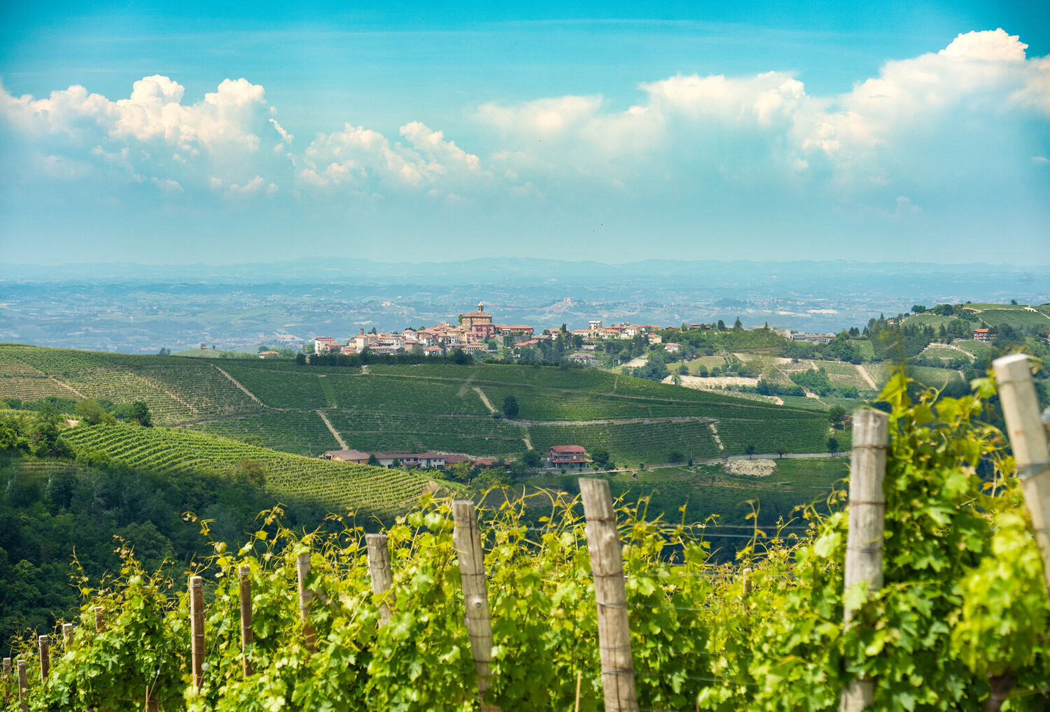 Visit Neive - Visit Neive Italy: Discover Hidden Wine Gem & Treasures - 2025 - 17