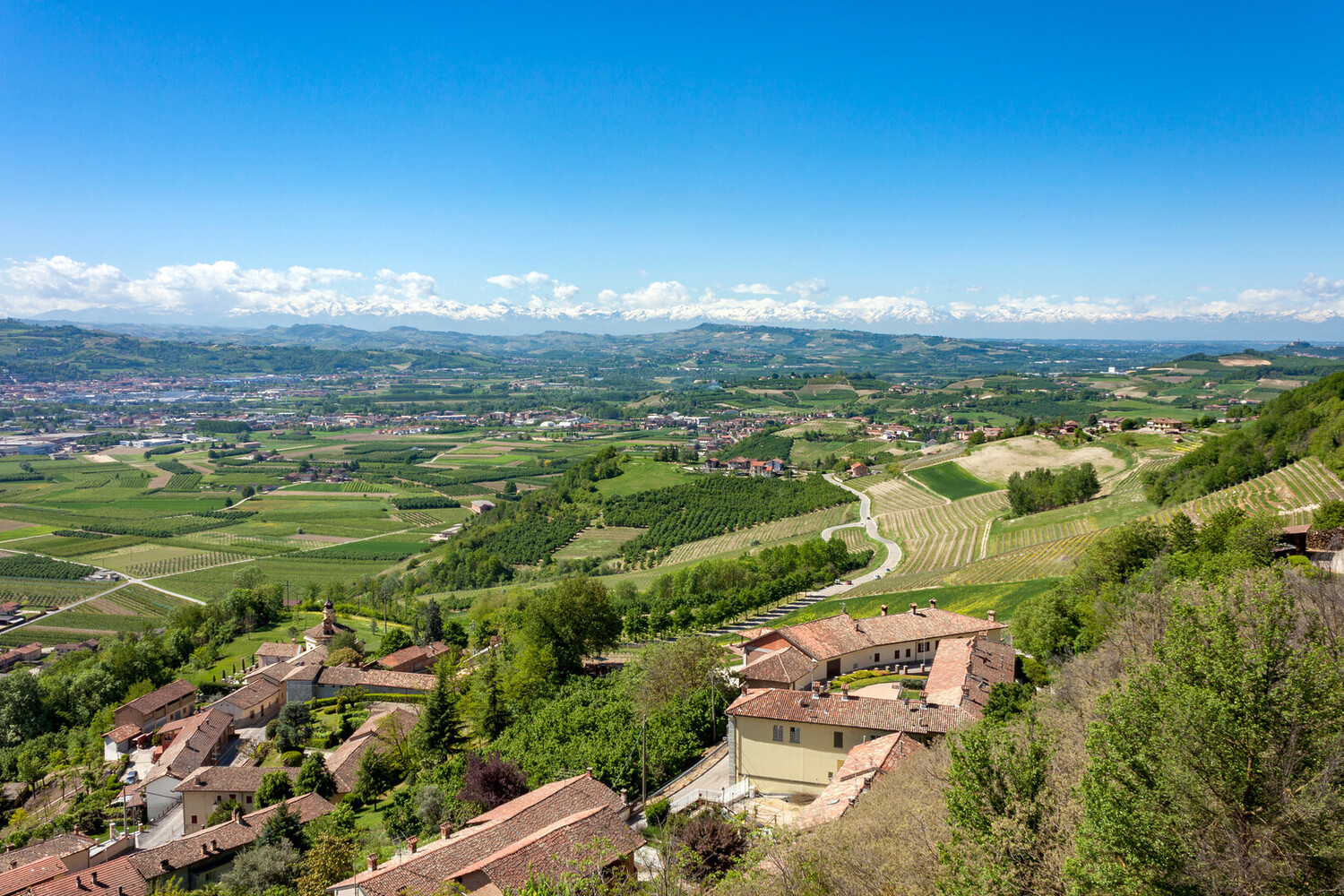 Visit Asti - Visit Asti Italy: Unmissable Things to Do and See - 2025 - 9