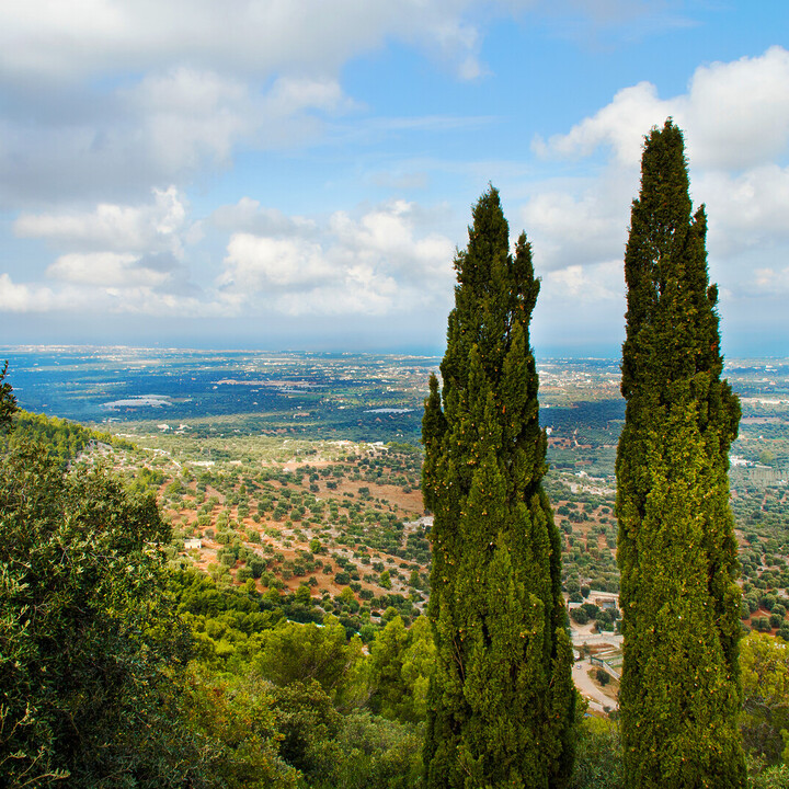 Visit Itria Valley: A Travel Guide to The Most Charming Towns - 2025 - 18 - - Visit Itria Valley: A Travel Guide to The Most Charming Towns - 2025 - 17