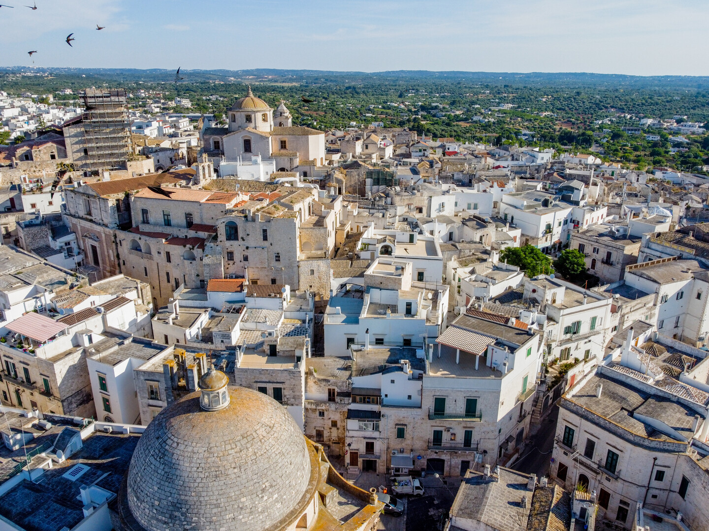 Things to Do in Foggia - Best Things to Do in Foggia Italy: Heart of Northern Puglia - 2025 - 17