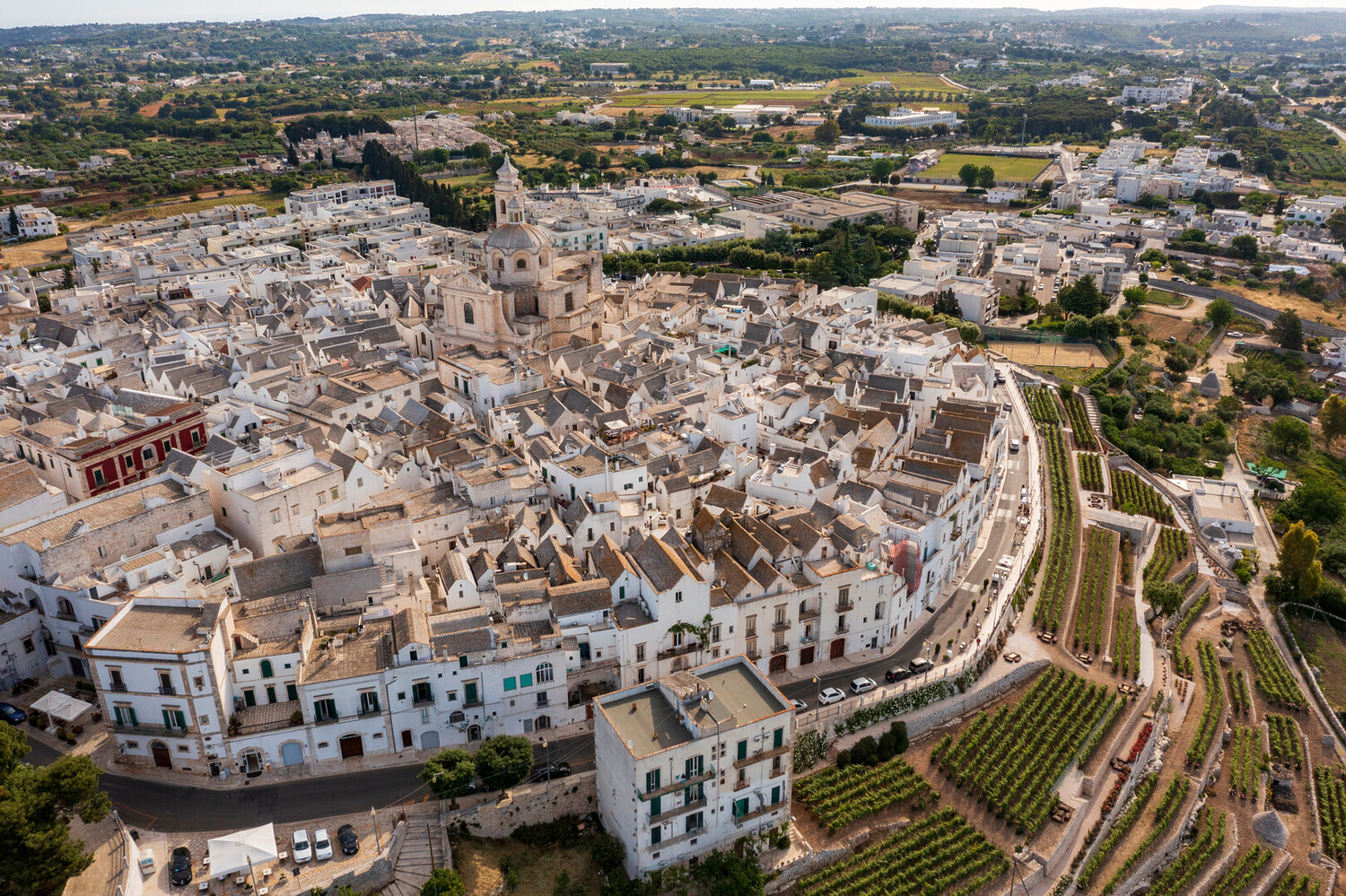 Things to Do in Locorotondo - Best Things to Do in Locorotondo: Travel Guide to Southern Italy - 2025 - 1