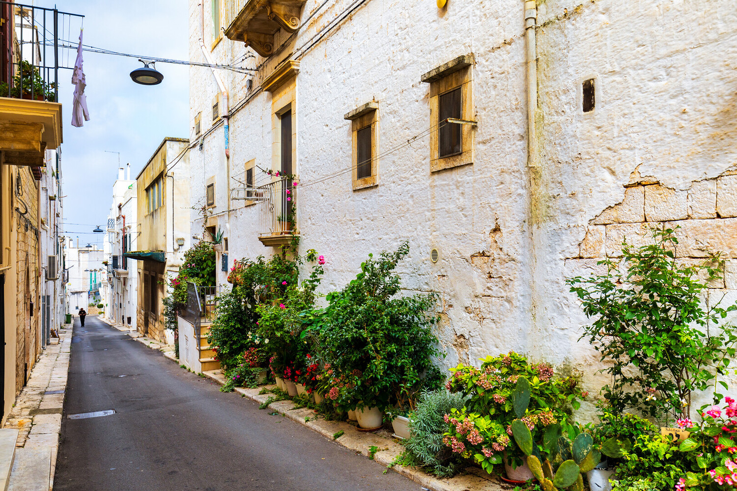 Things to Do in Locorotondo - Best Things to Do in Locorotondo: Travel Guide to Southern Italy - 2025 - 3