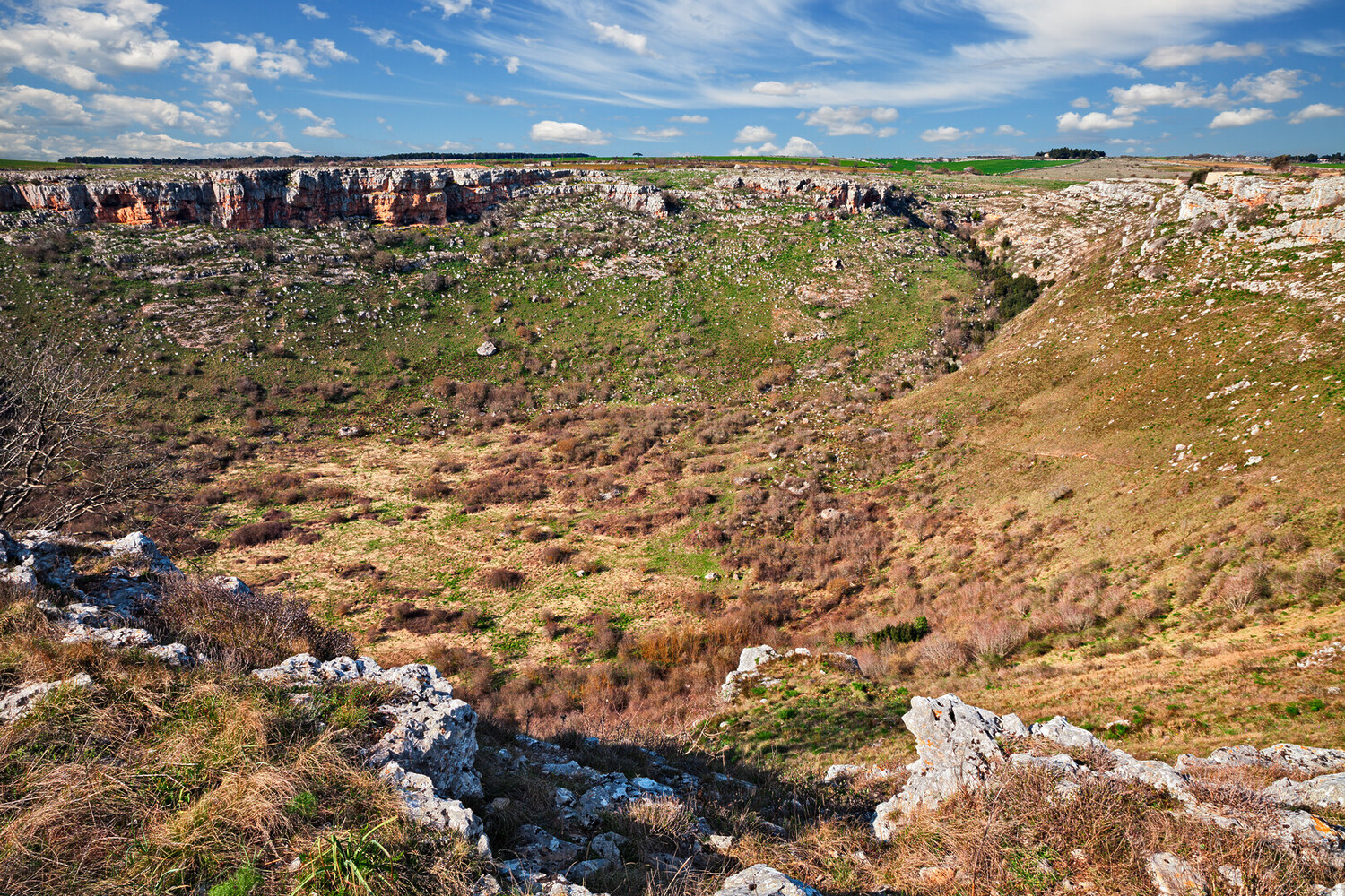 things to do in altamura - Top Things to Do in Altamura Italy: What to Uncover - 2025 - 9