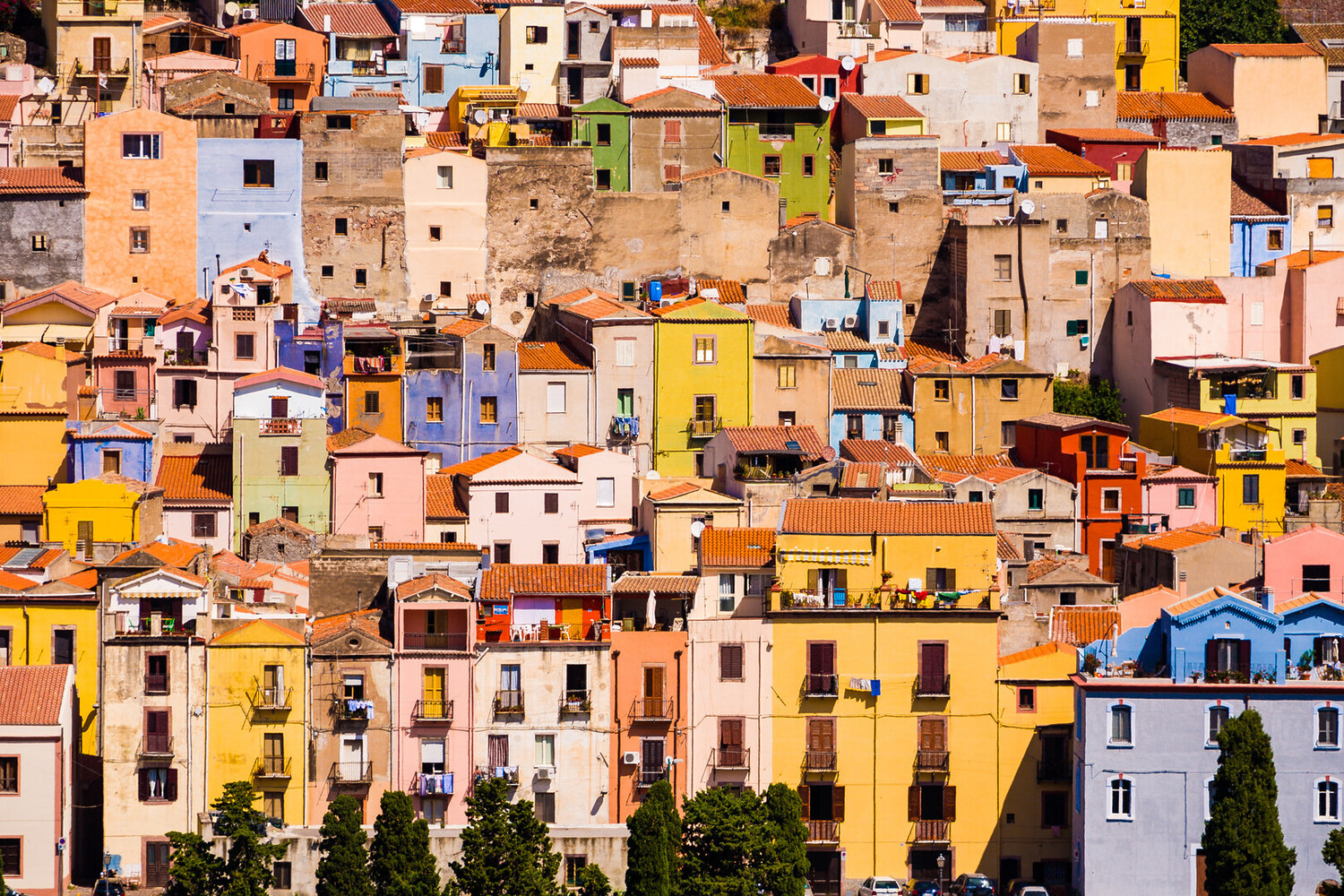 Visit Oristano - Visit Oristano Sardinia: Your Complete Guide Near the Coast - 2025 - 23