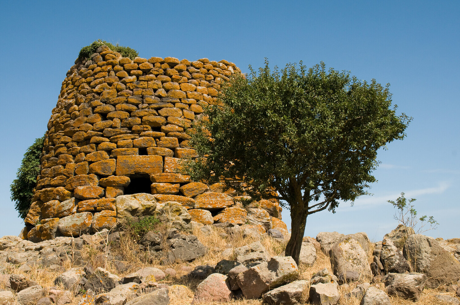 visit bosa - Visit Bosa Sardinia: Best Things to Do, See & Plan on a Trip - 2025 - 17
