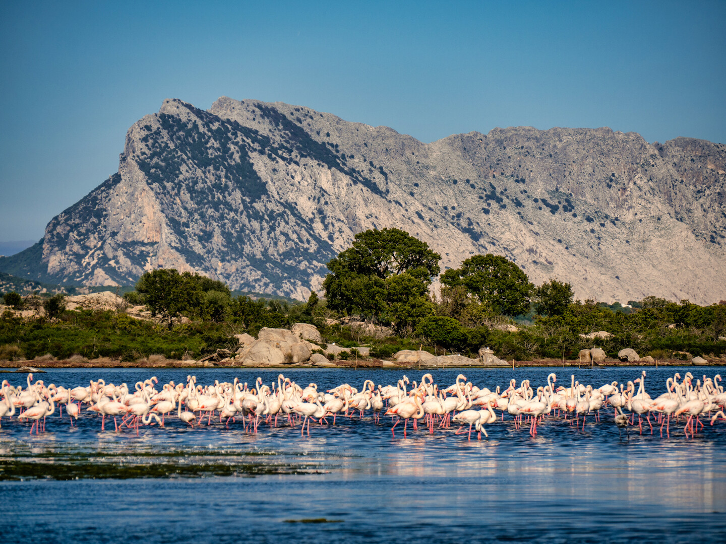 Planifiez votre voyage de rêve Visitez San Teodoro Sardaigne - 2025 - 6 - Visitez San Teodoro Visitez San Teodoro - Planifiez votre voyage de rêve Visitez San Teodoro Sardaigne - 2025 - 5