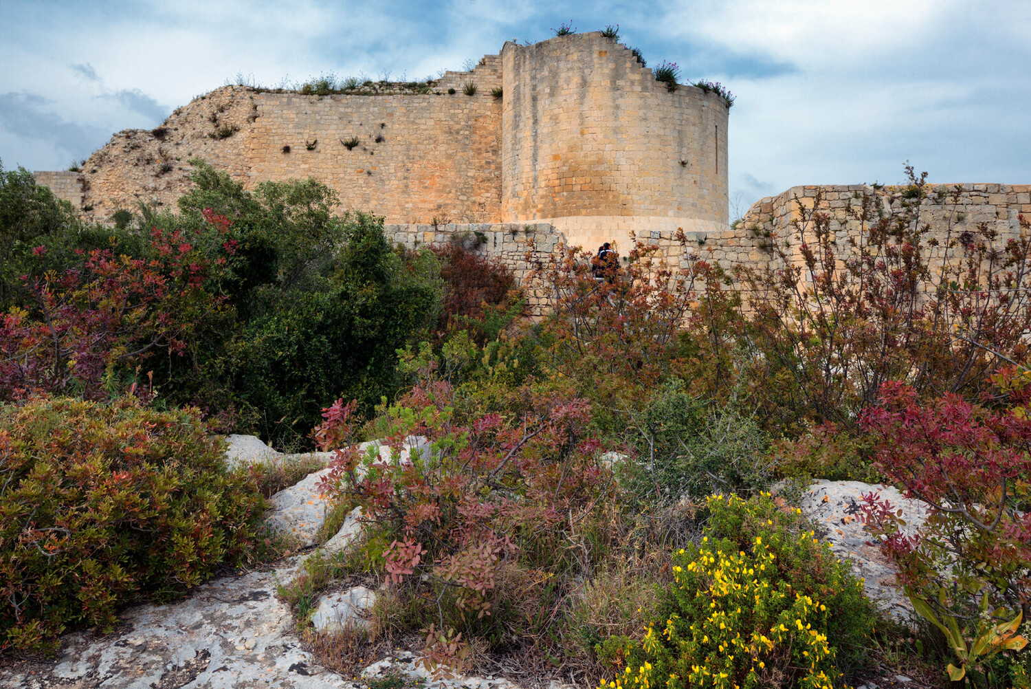 Visit Noto - Visit Noto Italy: A Baroque Guide to The Best Things to Do - 2025 - 19