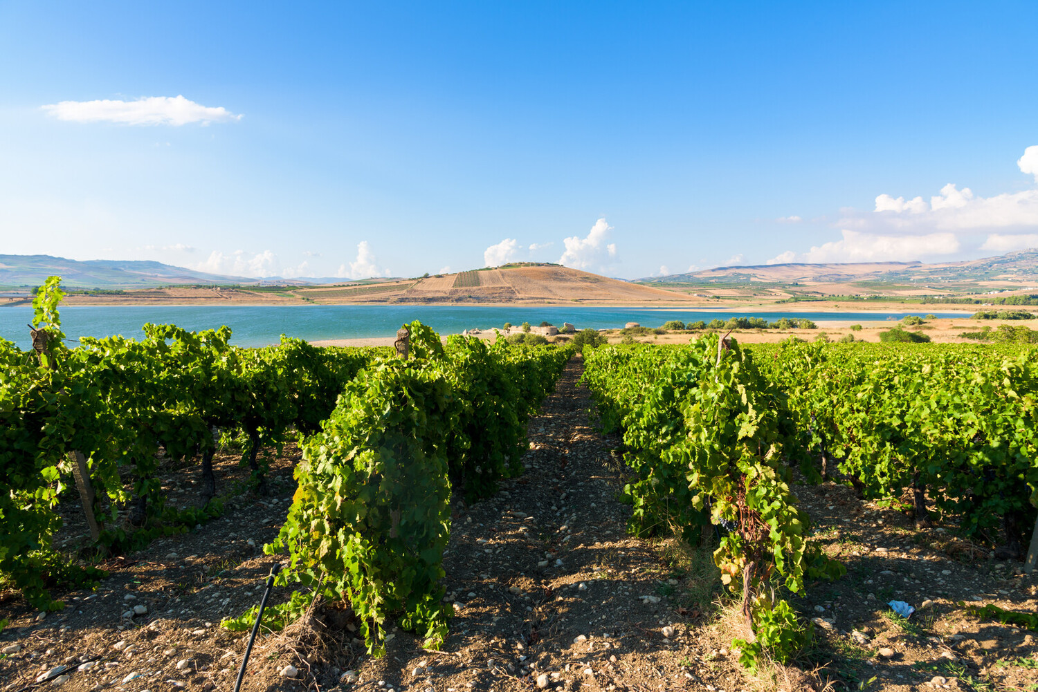 visit agrigento - Visit Agrigento Sicily: Explore and Discover the Best Things to Do - 2025 - 23