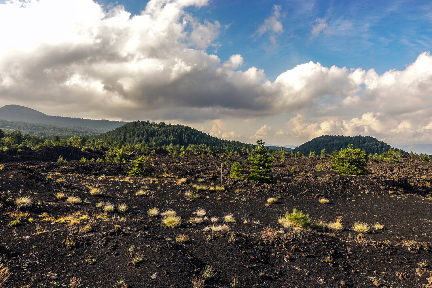 Visitez l'Etna - Visitez l'Etna en Sicile : Explorez le volcan le plus actif d'Europe - 2025 - 13