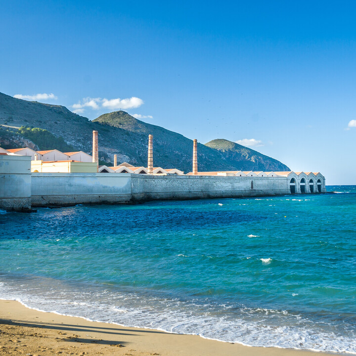 brunico - Visiter Favignana : Plages, criques et trésors siciliens - 2025 - 17