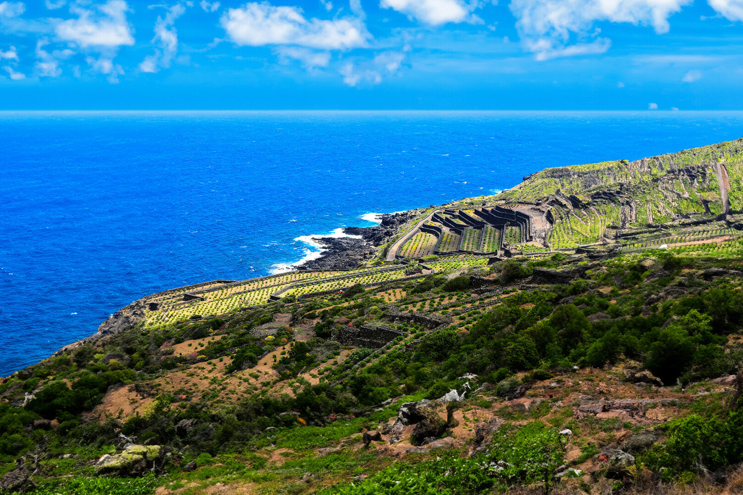 pantelleria - Visiter Pantelleria : La perle noire de la Méditerranée - 2025 - 1