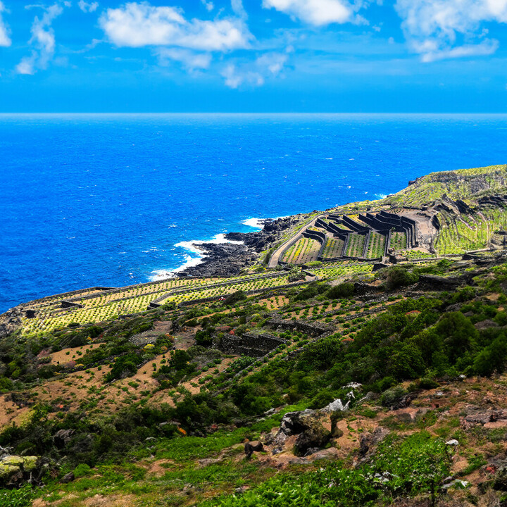 brunico - Visiter Pantelleria : La perle noire de la Méditerranée - 2025 - 15