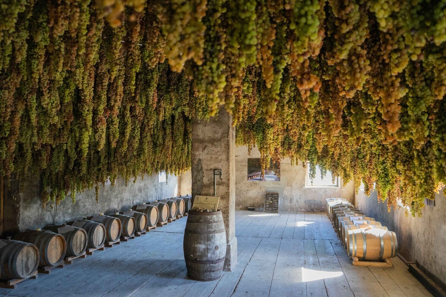 Visiter Vicenza : Entre chef-d’œuvre architectural et art de vivre à l’italienne - 2026 - 22 - vicenza,vicence vicenza,vicence - Visiter Vicenza : Entre chef-d’œuvre architectural et art de vivre à l’italienne - 2026 - 21