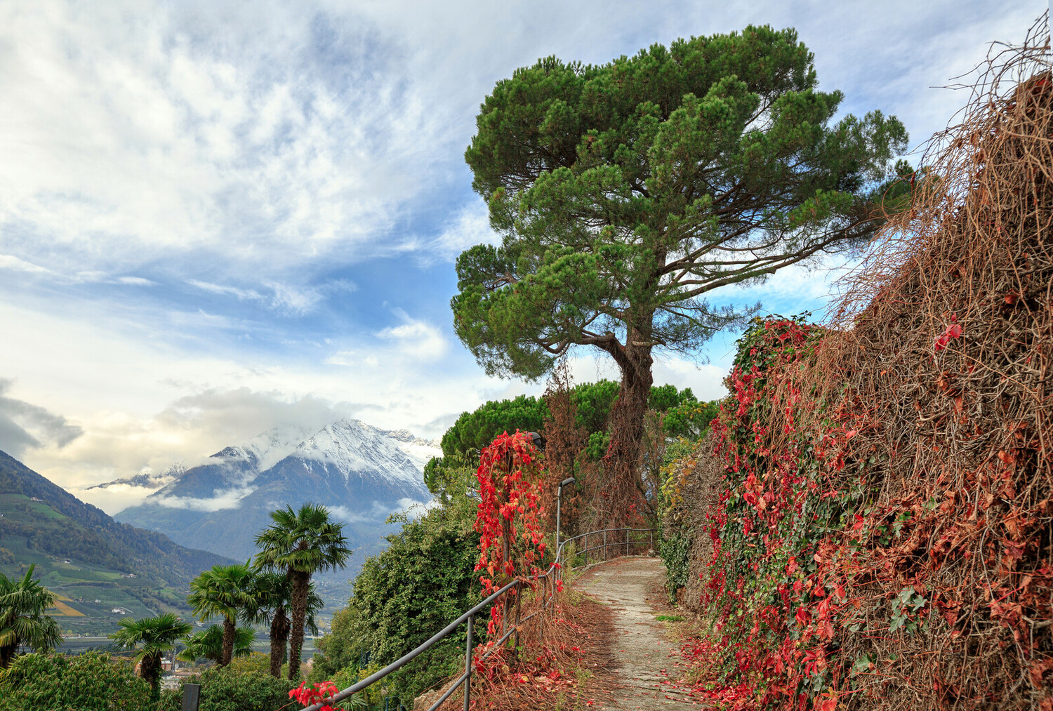 Visit Merano Italy: Discover South Tyrol’s Elegant Spa Town - 2025 - 18 - Visit Merano Visit Merano - Visit Merano Italy: Discover South Tyrol’s Elegant Spa Town - 2025 - 17