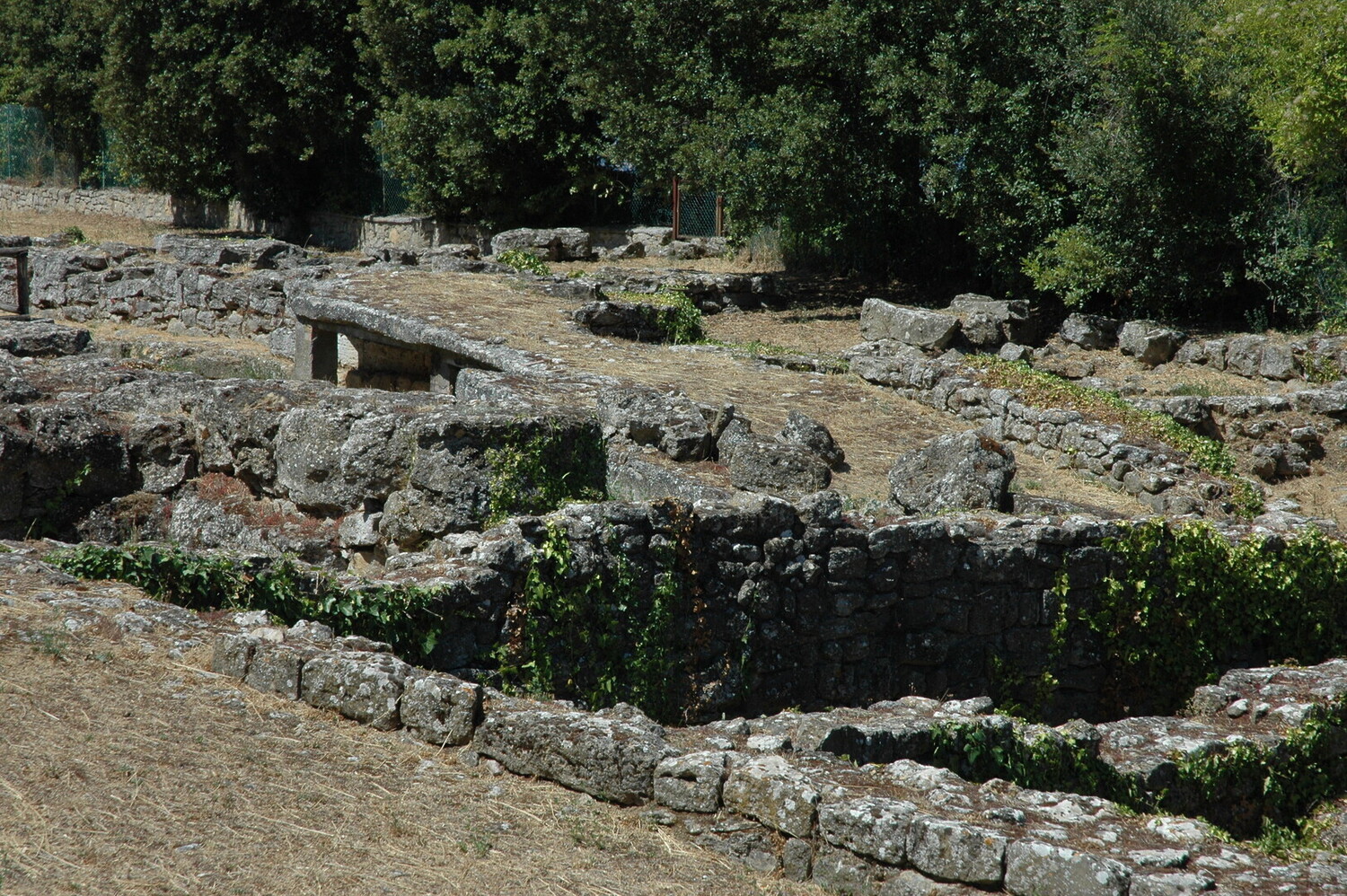 Things to Do in Volterra - Unforgettable Things to Do in Volterra: An Essential Travel Guide - 2025 - 3