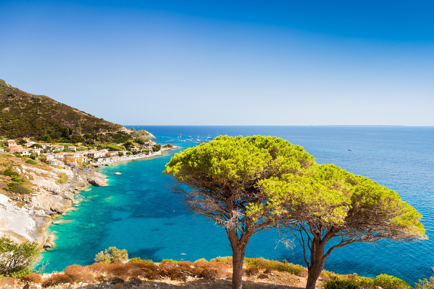 visit elba island - Visit Elba Island Italy: All You Must Know - 2025 - 1