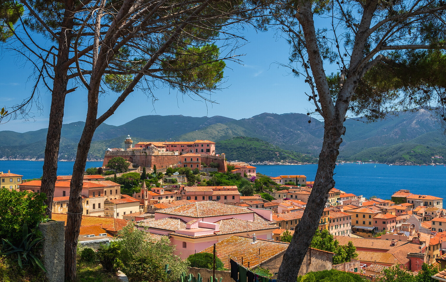 visit elba island - Visit Elba Island Italy: All You Must Know - 2025 - 3