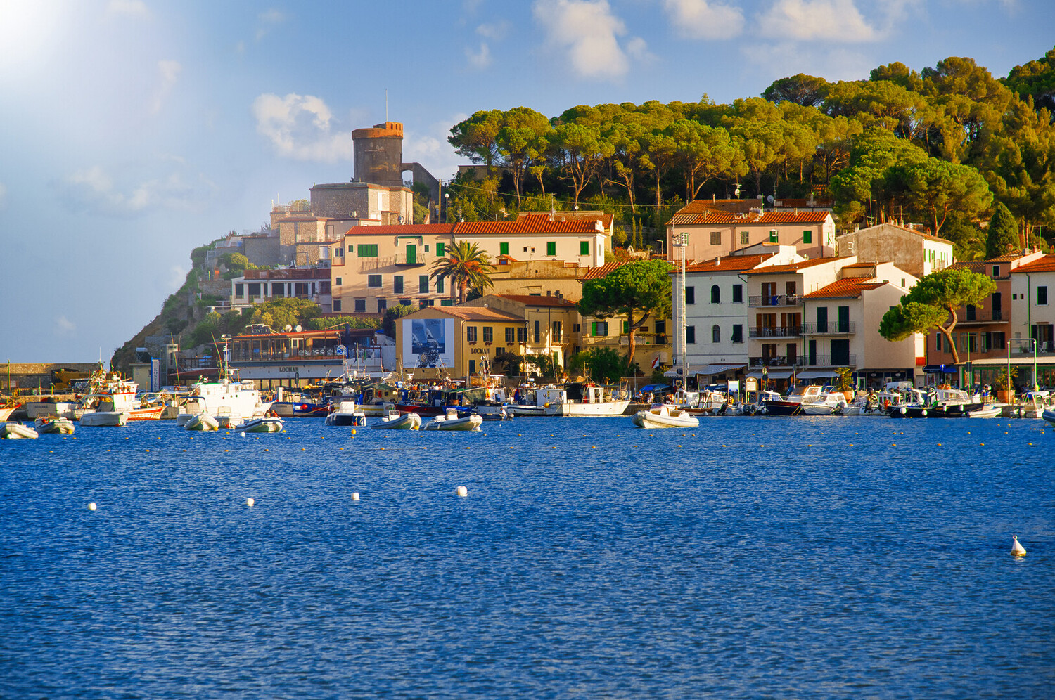 visit elba island - Visit Elba Island Italy: All You Must Know - 2025 - 7