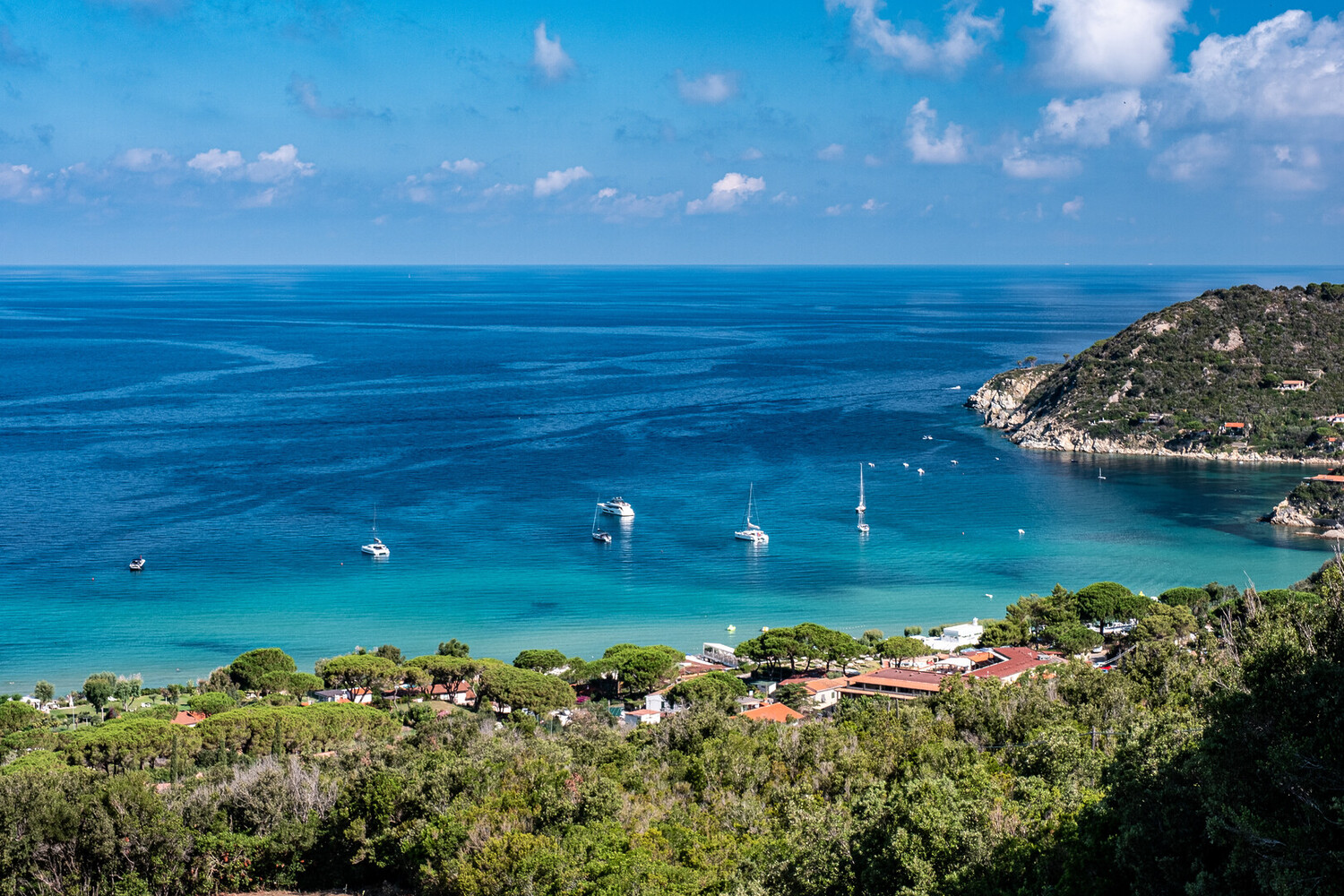 visit elba island - Visit Elba Island Italy: All You Must Know - 2025 - 17