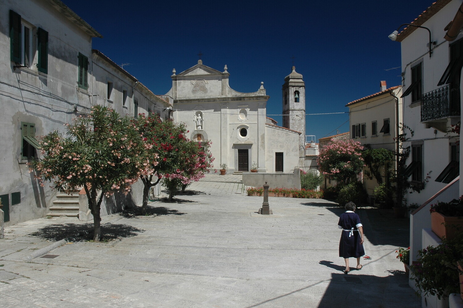 visit elba island - Visit Elba Island Italy: All You Must Know - 2025 - 19
