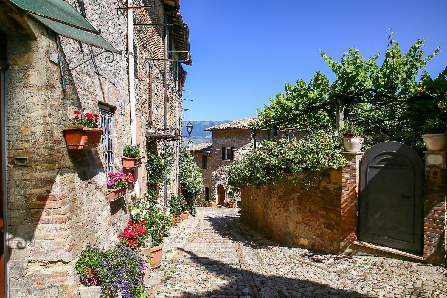 Visit Montefalco Italy: Best Things to See in Umbria’s Hidden Gem - 2026 - 10 - Visit Montefalco Visit Montefalco - Visit Montefalco Italy: Best Things to See in Umbria’s Hidden Gem - 2026 - 9