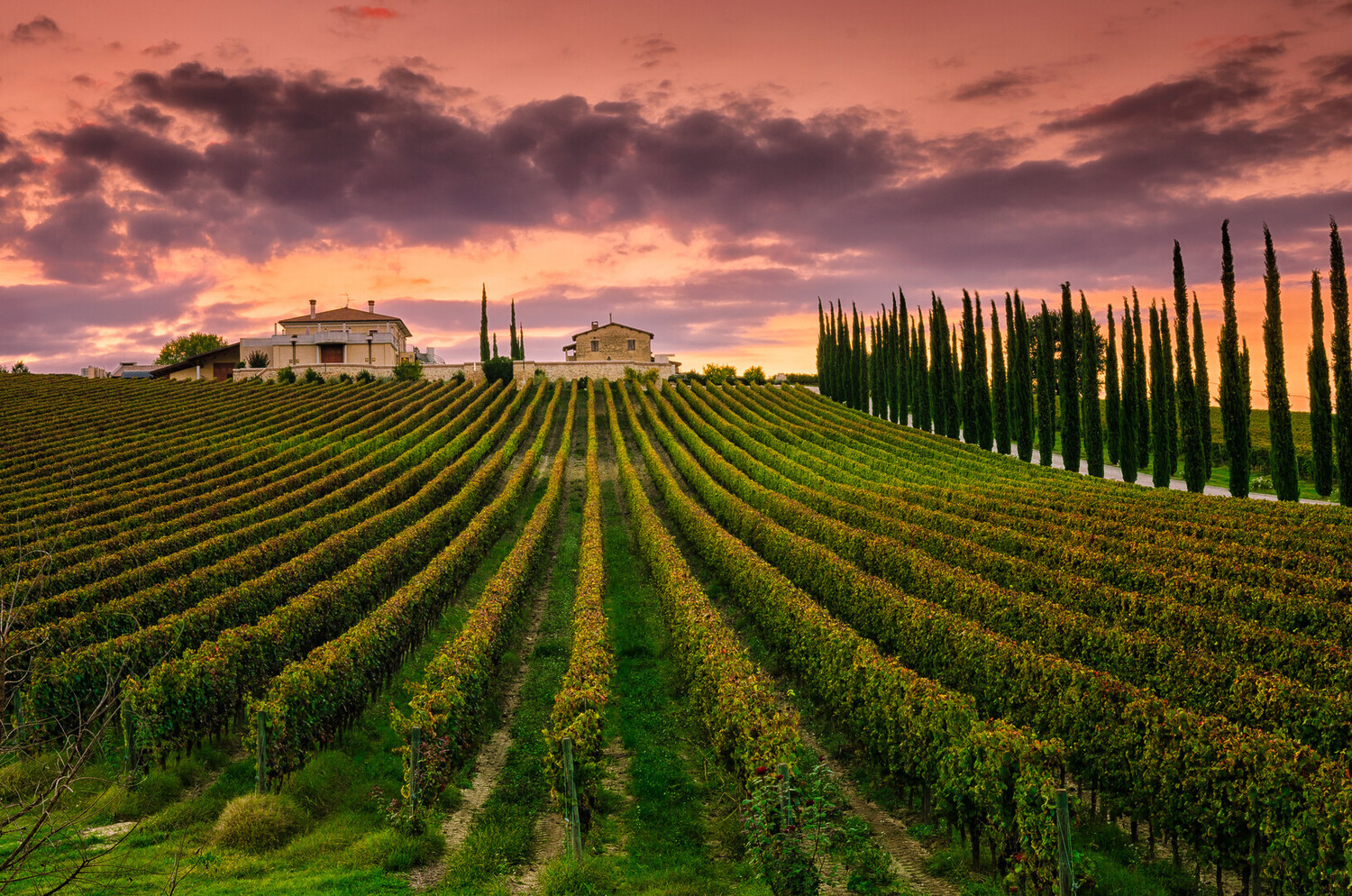 best places to visit in umbria - Best Places to Visit in Umbria: Discover the Green Heart of Italy - 2025 - 1