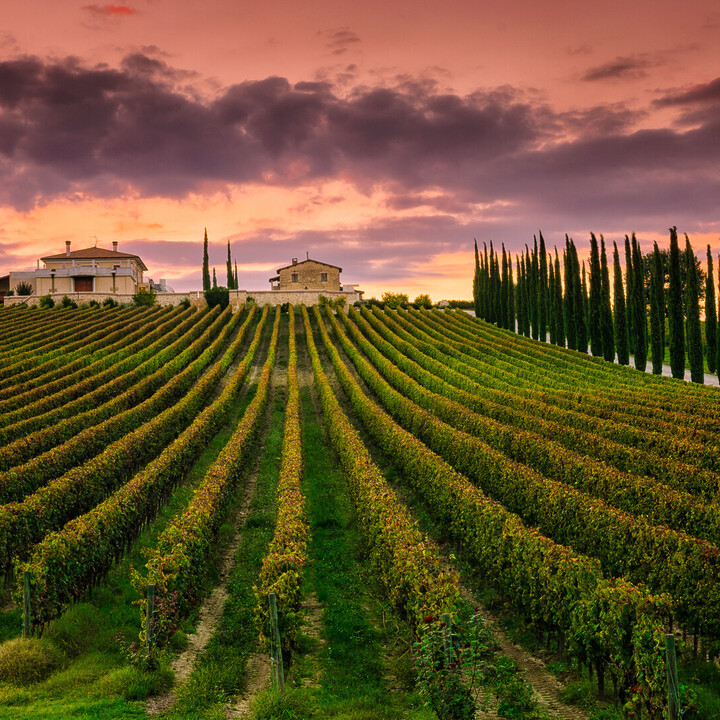 day trips from venice - Best Places to Visit in Umbria: Discover the Green Heart of Italy - 2025 - 5