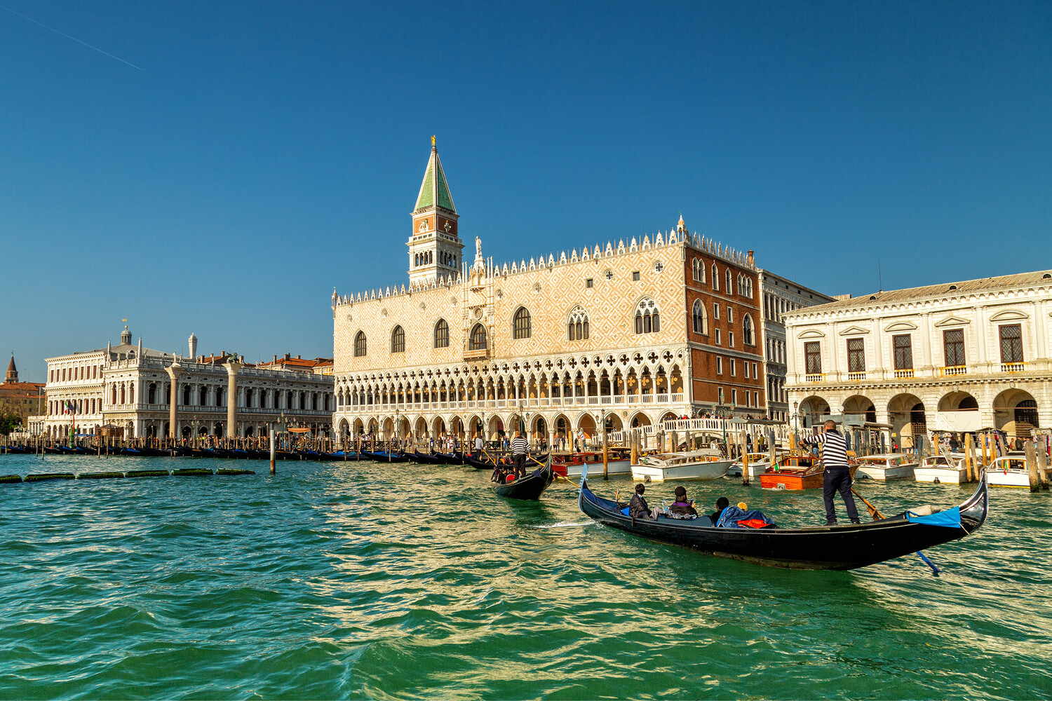 things to do in venice - Best Things to Do in Venice: Marvel Along the Canals - 2025 - 5