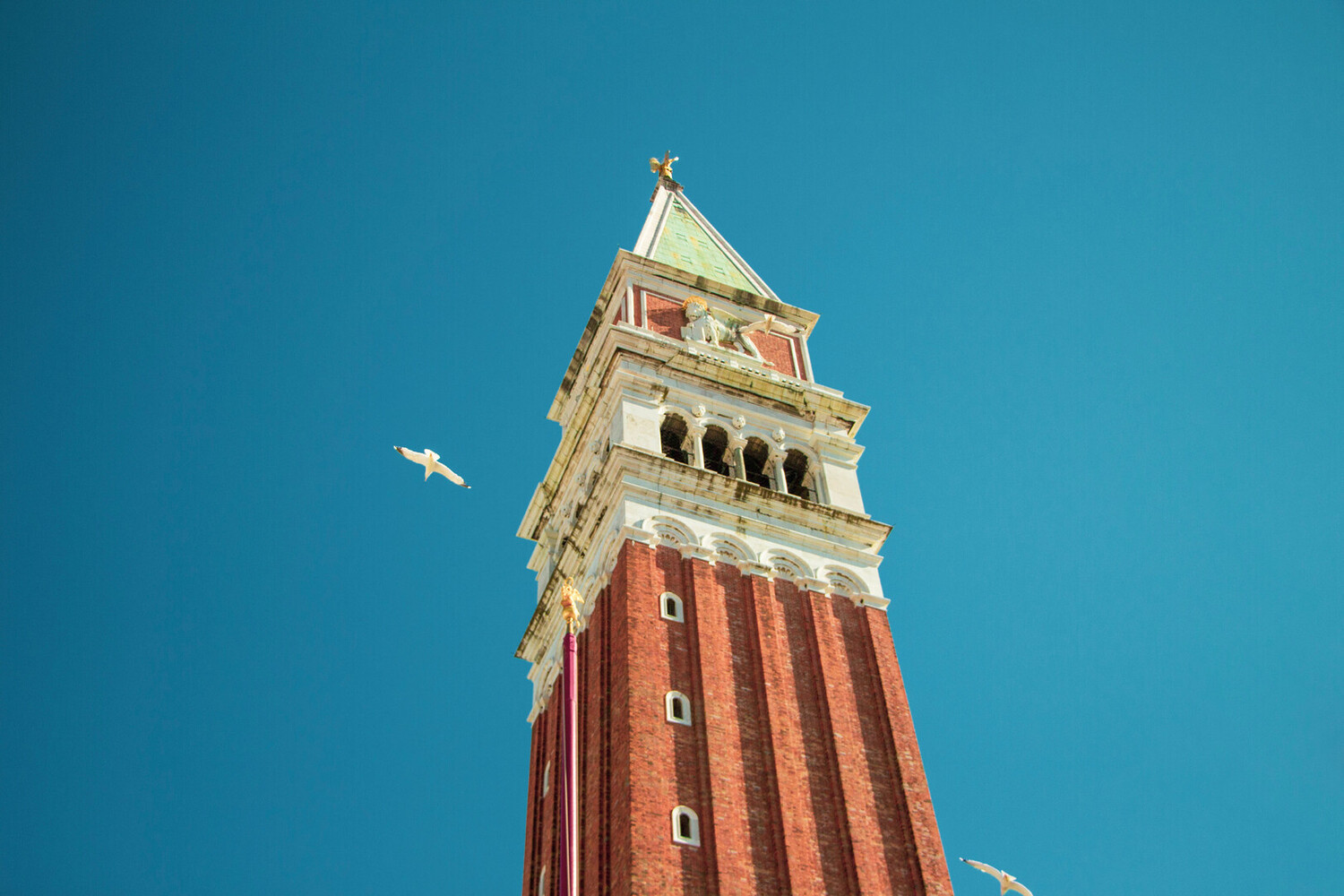 things to do in venice - Best Things to Do in Venice: Marvel Along the Canals - 2025 - 19