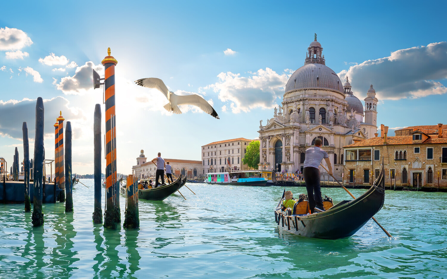 day trips from venice - The Best Day Trips from Venice: Unforgettable Escapes - 2025 - 1