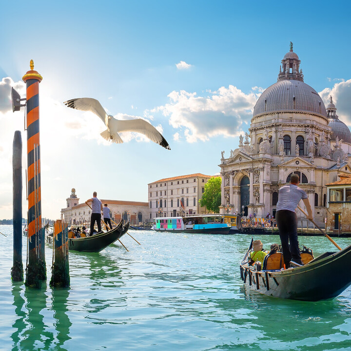 day trips from venice - The Best Day Trips from Venice: Unforgettable Escapes - 2025 - 1