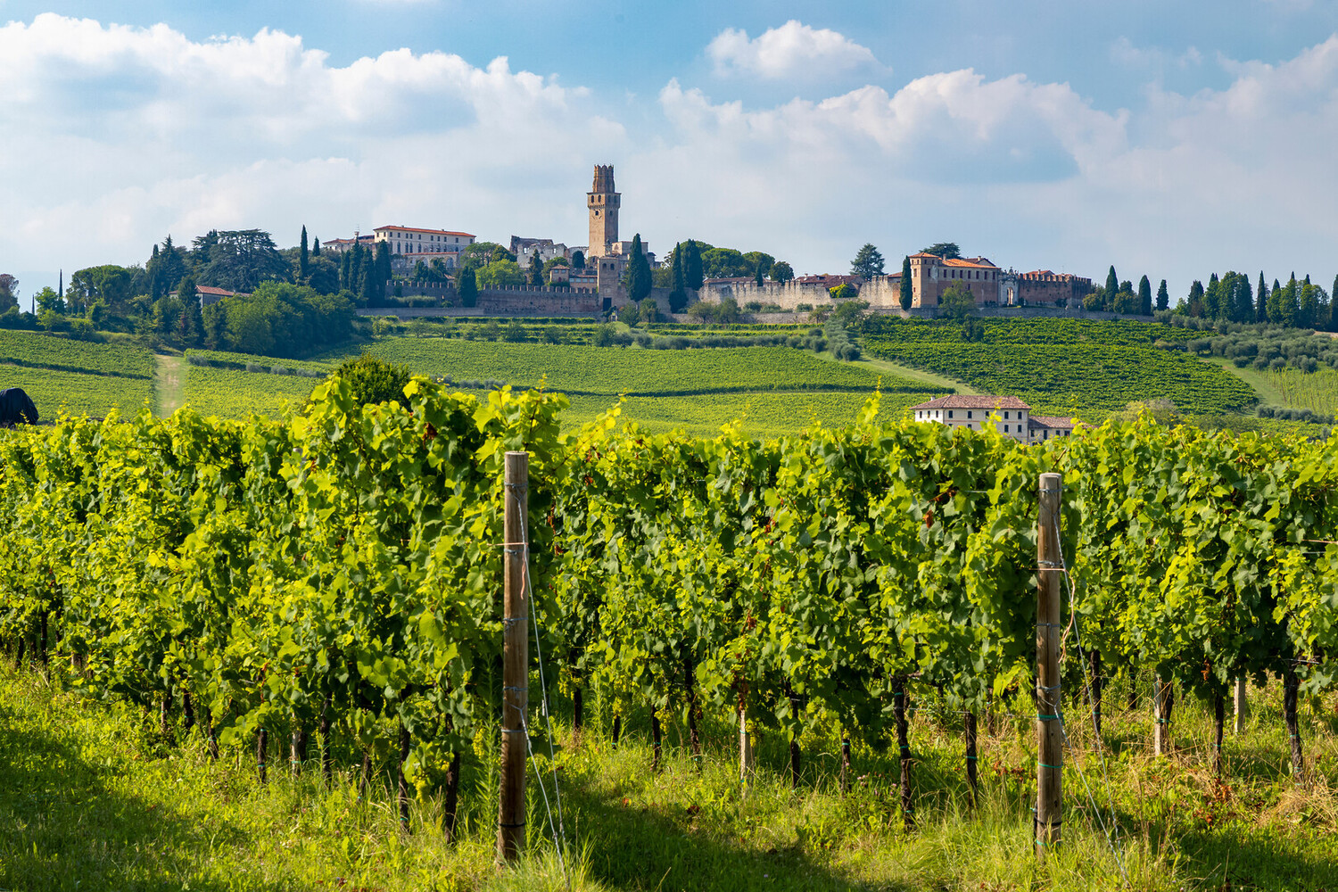 day trips from venice - The Best Day Trips from Venice: Unforgettable Escapes - 2025 - 21
