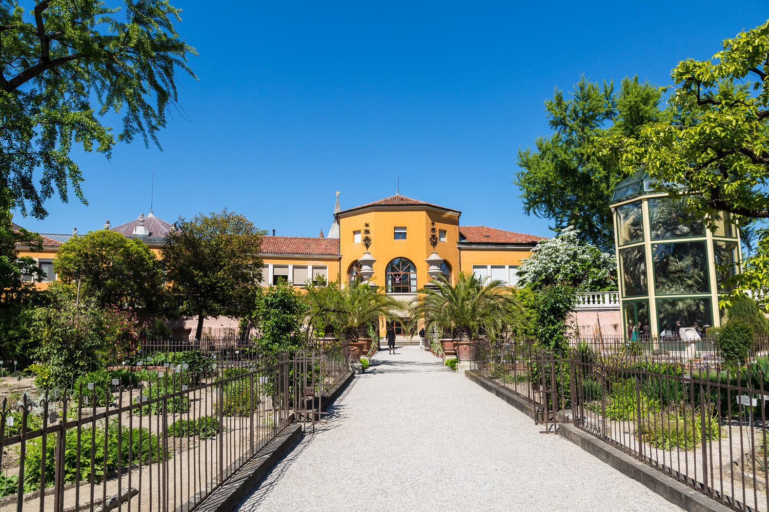 Things to Do in Padua - Uncover the Top Things to Do in Padua: The City of Saints - 2025 - 11