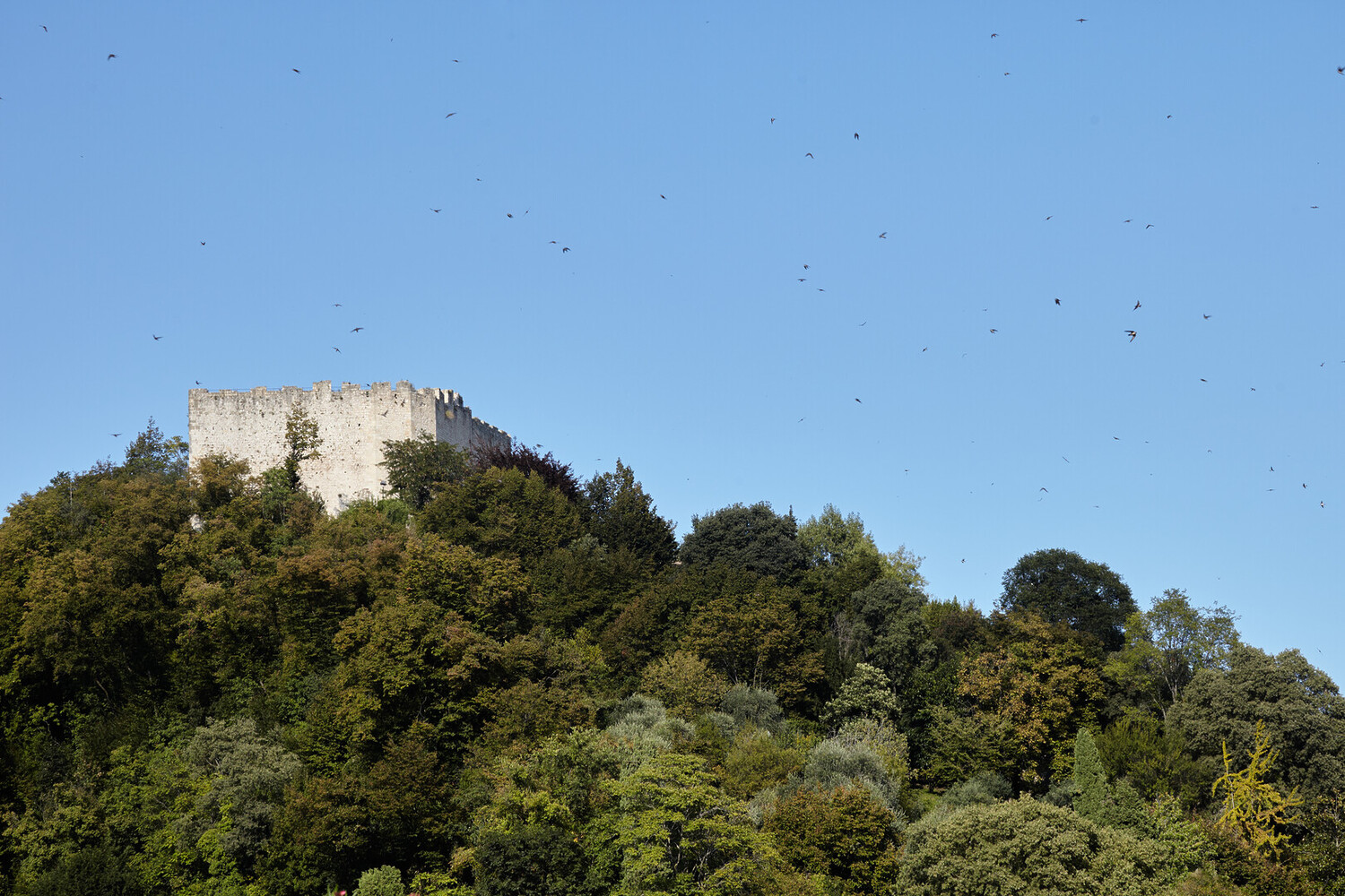 Visit Asolo - Visit Asolo Italy: One of the Most Beautiful Villages of The Country - 2025 - 5