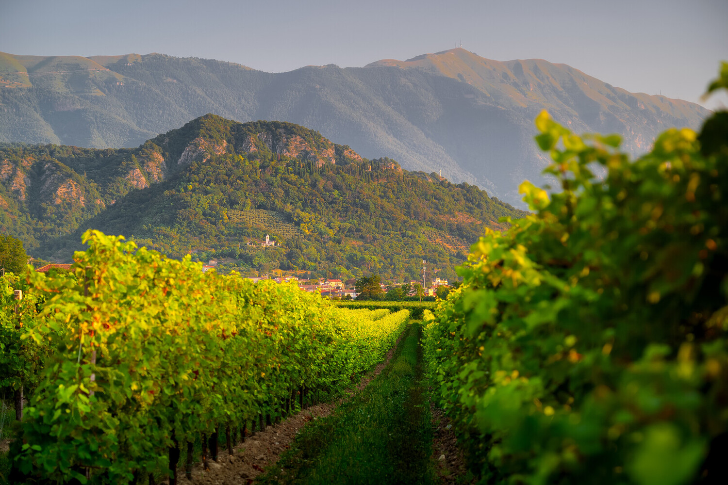 Visit Asolo - Visit Asolo Italy: One of the Most Beautiful Villages of The Country - 2025 - 15