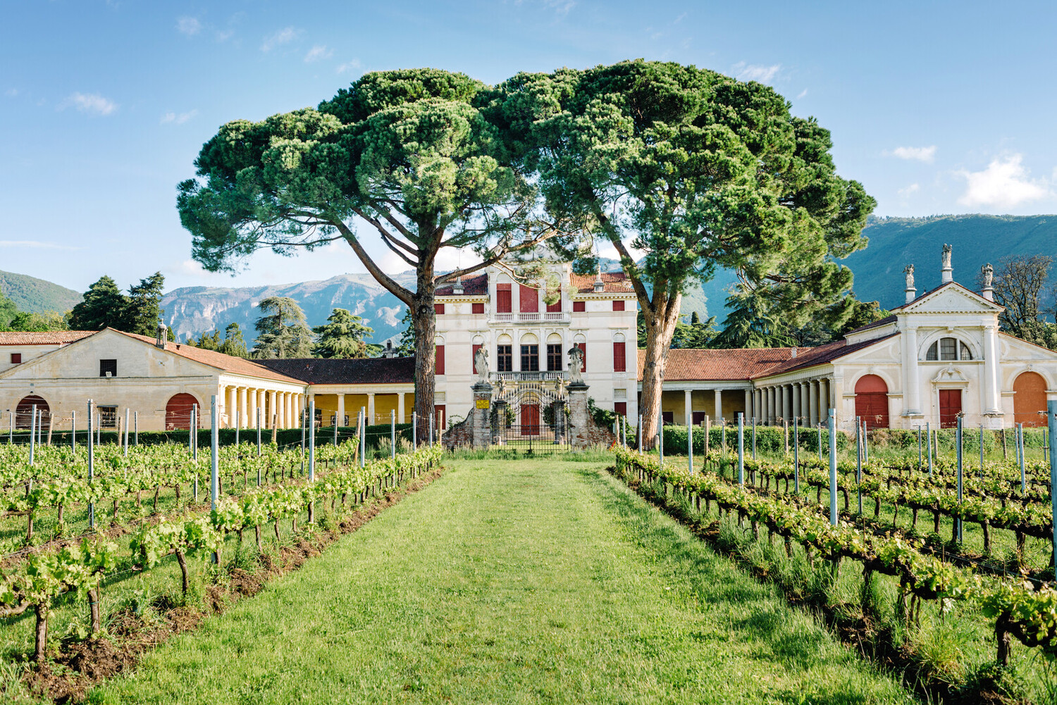 Visit Bassano del Grappa - Visit Bassano del Grappa: A Hidden Gem in the Heart of Veneto - 2025 - 15