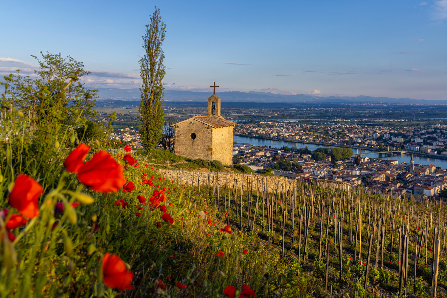 Que faire à Valence : 10 incontournables à découvrir - 2026 - 20 - que faire à valence que faire à valence - Que faire à Valence : 10 incontournables à découvrir - 2026 - 19