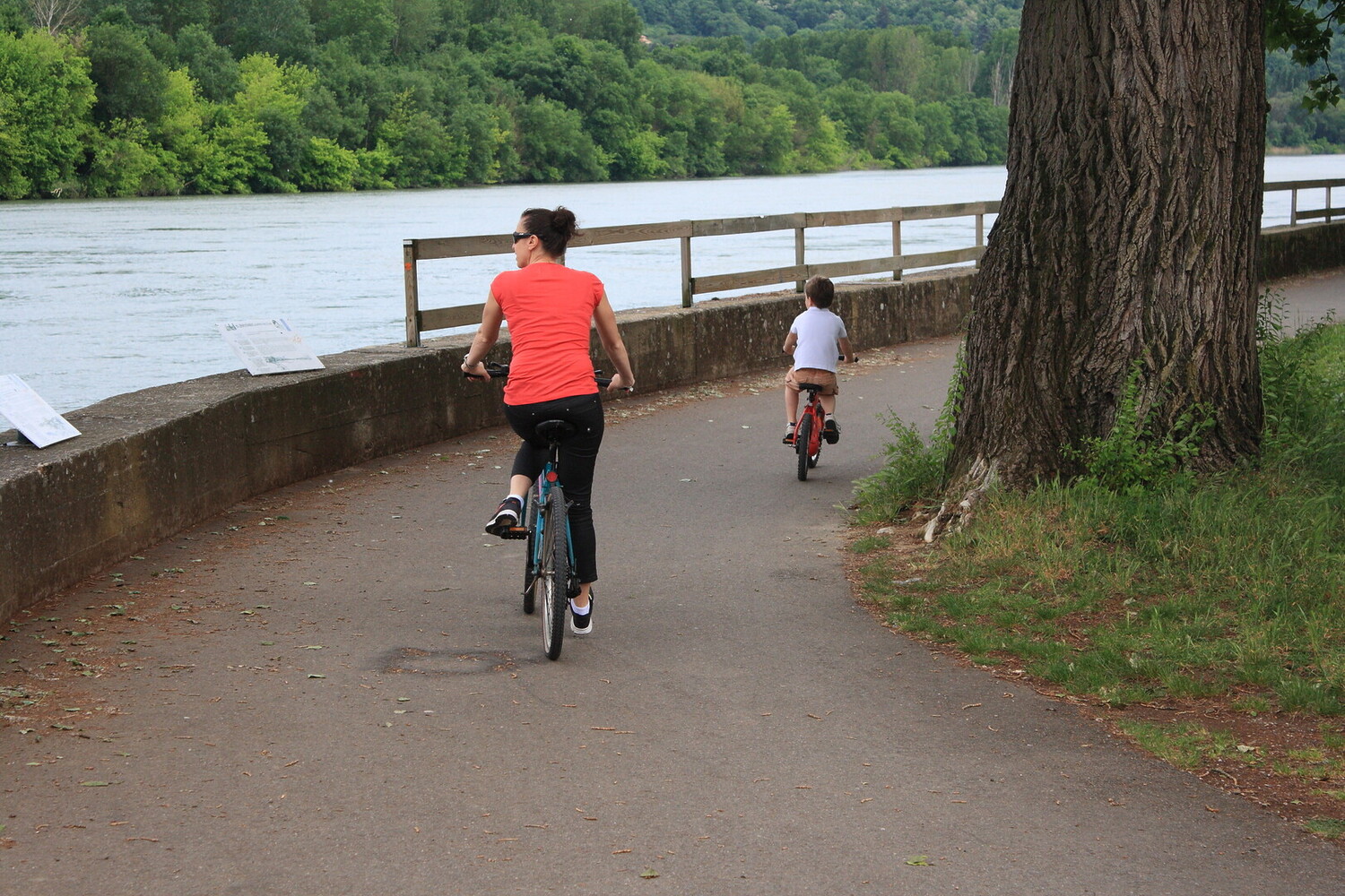 Visiter Vienne en France : escapade culturelle et gourmande - 2026 - 22 - que faire à vienne que faire à vienne - Visiter Vienne en France : escapade culturelle et gourmande - 2026 - 21