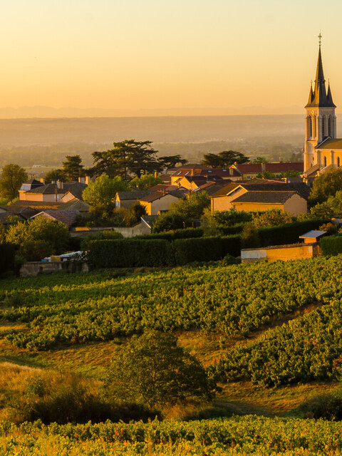 Que Faire dans le Beaujolais : Les Incontournables - 2026 - 10 - - Que Faire dans le Beaujolais : Les Incontournables - 2026 - 9