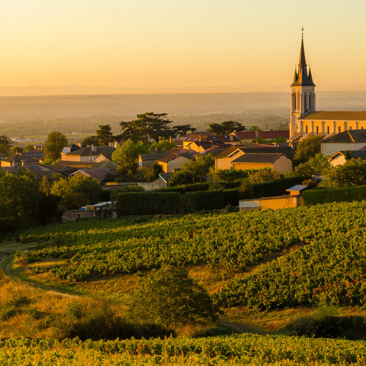 Que Faire dans le Beaujolais : Les Incontournables - 2026 - 10 - bar à vin dijon bar à vin dijon - Que Faire dans le Beaujolais : Les Incontournables - 2026 - 9