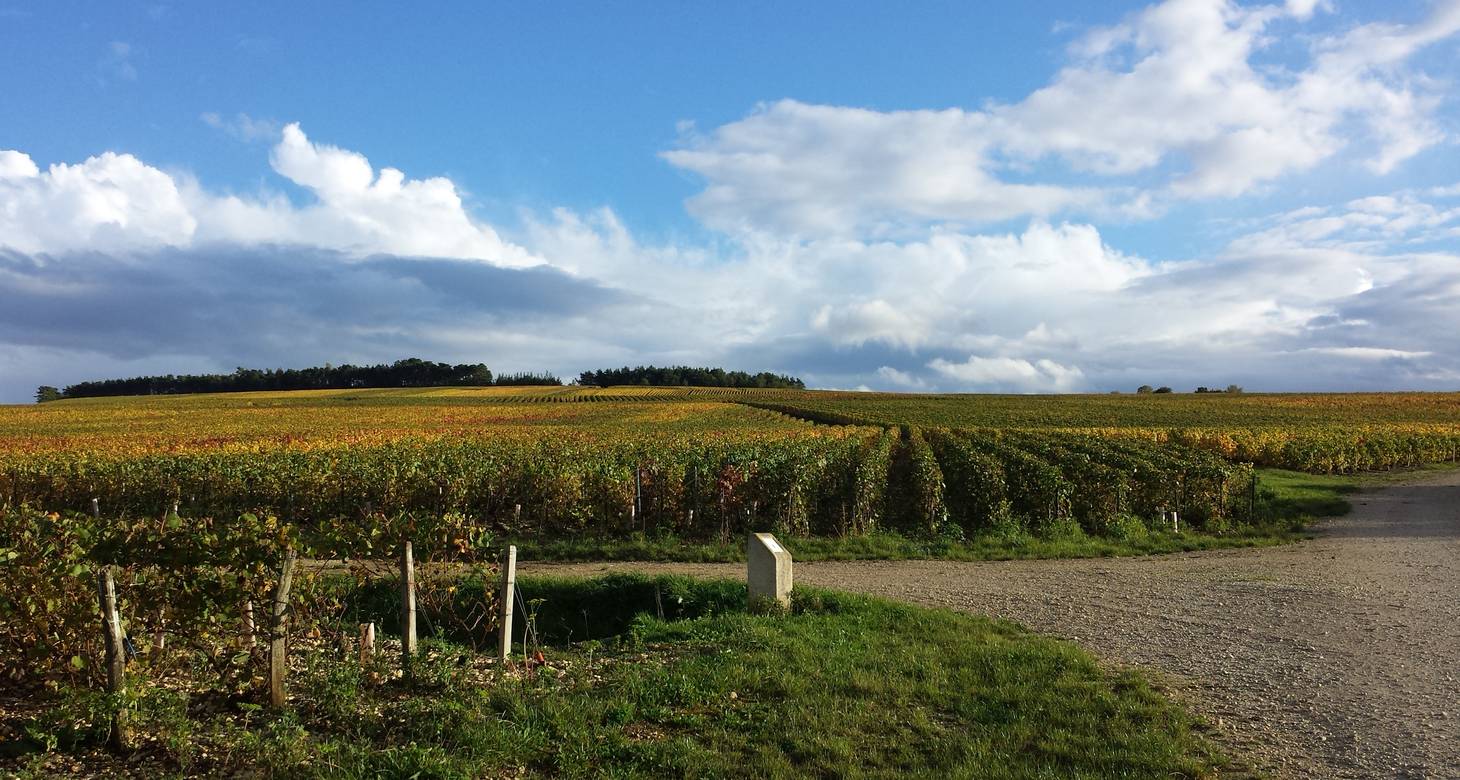 Les meilleurs bars à vin Troyes au cœur du centre-ville - 2026 - 16 - bar a vin troyes bar a vin troyes - Les meilleurs bars à vin Troyes au cœur du centre-ville - 2026 - 15