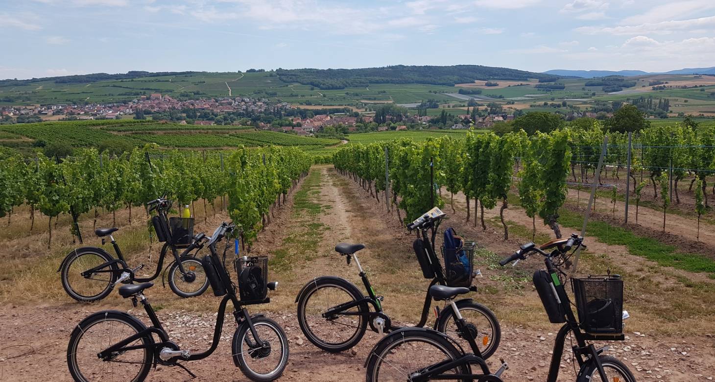 Les meilleurs bars à vin à Strasbourg - 2026 - 16 - bars à vin bars à vin - Les meilleurs bars à vin à Strasbourg - 2026 - 15