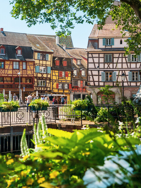 Les meilleurs bars à vin Colmar : Adresses incontournables - 2026 - 18 - - Les meilleurs bars à vin Colmar : Adresses incontournables - 2026 - 17