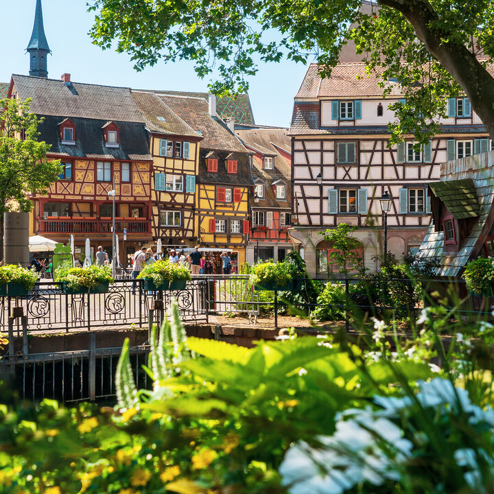 Les meilleurs bars à vin Colmar : Adresses incontournables - 2026 - 18 - visiter la champagne visiter la champagne - Les meilleurs bars à vin Colmar : Adresses incontournables - 2026 - 17