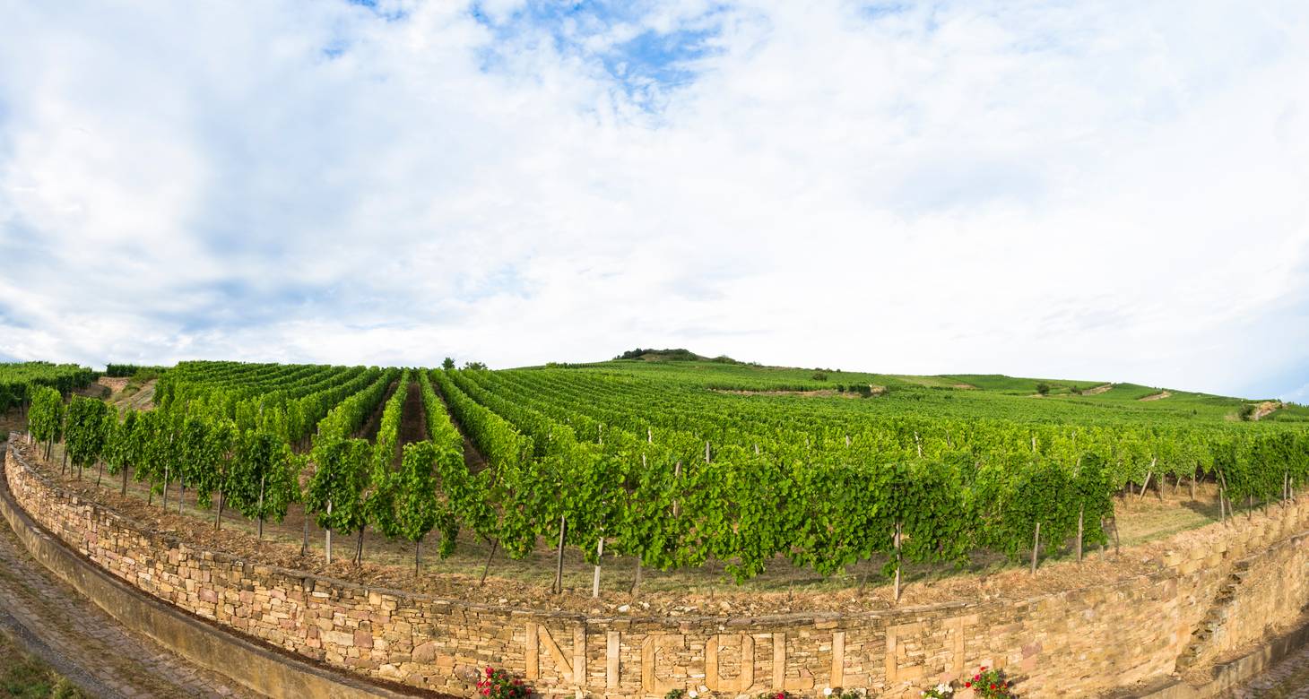 Que faire à Mulhouse ? Explorez la ville autrement - 2026 - 16 - Que faire à Mulhouse Que faire à Mulhouse - Que faire à Mulhouse ? Explorez la ville autrement - 2026 - 15